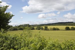 Guisborough - Mark Davis Photography